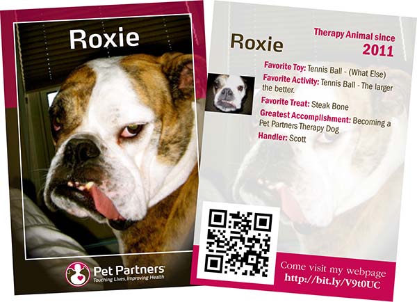 Pet-trading-cards-for-marketing